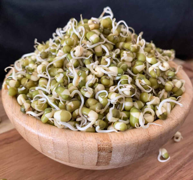 অঙ্কুরিত বীজ