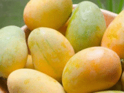 🍋 আম: রসালো ফলের অসাধারণ স্বাস্থ্য উপকারিতা