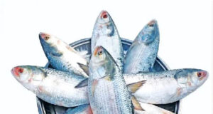 🐟 ওমেগা-৩ ফ্যাটি অ্যাসিড: সুস্থ জীবনের জন্য এক অপরিহার্য উপাদান 💖 ওমেগা-৩ ফ্যাটি অ্যাসিড