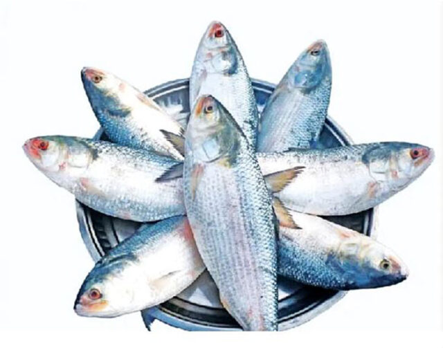 ওমেগা-৩ ফ্যাটি অ্যাসিড