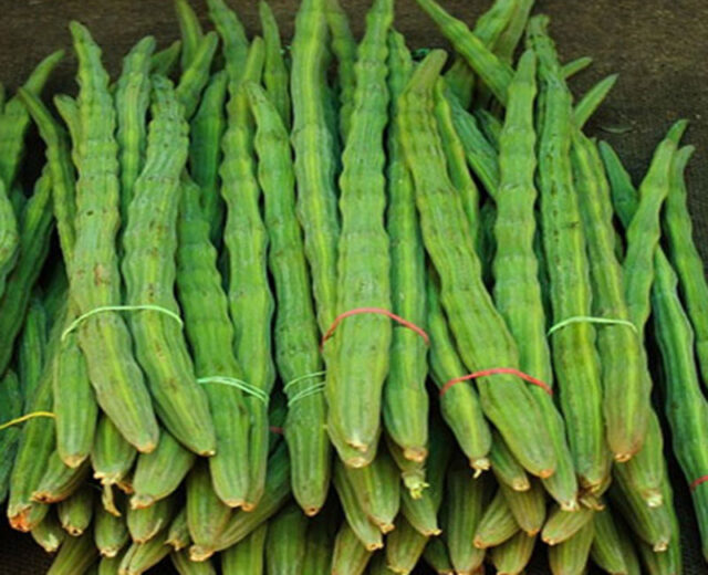 খাবার তালিকায় সাজনা