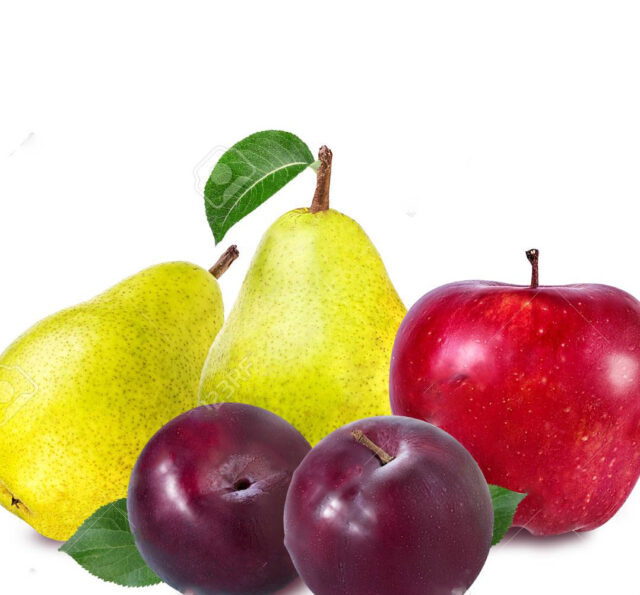 ফল খাওয়ার মাধ্যমে