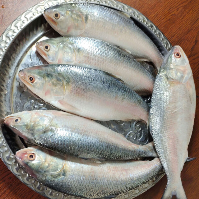 বাংলাদেশের স্বাস্থ্যকর তৈলাক্ত মাছ