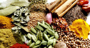 যেসব ভেষজ ও মশলা আপনাকে দীর্ঘদিন বেঁচে থাকতে সাহায্য করবে