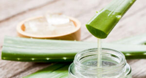 স্বাস্থ্য ও সৌন্দর্য রক্ষায় এলোভেরা জেলের উপকারিতা এলোভেরা জেলের উপকারিতা