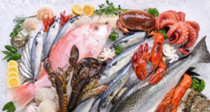 সামুদ্রিক মাছ: উপকারিতা, সামুদ্রিক মাছে মার্কারি ঝুঁকি ও নিরাপদ মাছ বেছে নেওয়ার গাইড সামুদ্রিক মাছে মার্কারি