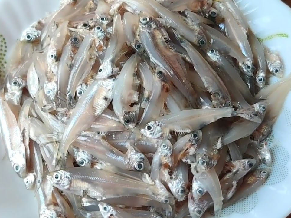 দেশীয় ছোট মাছ – মা ও শিশুর জন্য পুষ্টির ভাণ্ডার