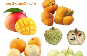 বাংলাদেশের ১৬টি স্থানীয় ফলের স্বাস্থ্য উপকারিতা – যা অনেকেই জানেন না 🍎 স্থানীয় ফলের স্বাস্থ্য উপকারিতা