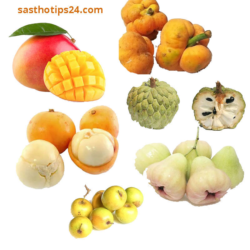 বাংলাদেশের ১৬টি স্থানীয় ফলের স্বাস্থ্য উপকারিতা – যা অনেকেই জানেন না 🍎