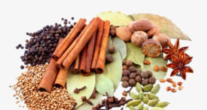 গৃহস্থালি ভেষজ যা শ্বাসকষ্ট কমাতে সাহায্য করে গৃহস্থালি ভেষজ