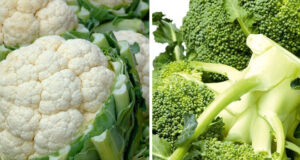 ব্রকলি বনাম ফুলকপি: কোনটা বেশী স্বাস্থ্যকর? ব্রকলি বনাম ফুলকপি
