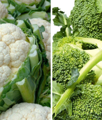 ব্রকলি বনাম ফুলকপি: কোনটা বেশী স্বাস্থ্যকর? ব্রকলি বনাম ফুলকপি