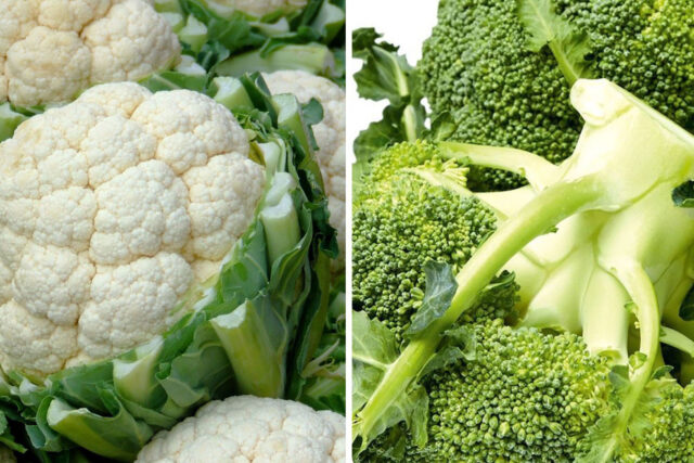 ব্রকলি-বনাম-ফুলকপি ব্রকলি বনাম ফুলকপি