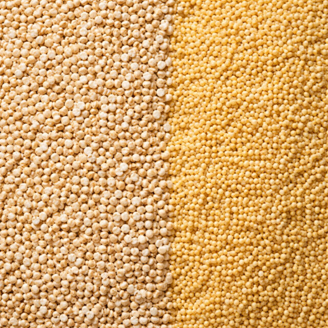 কিনোয়া বনাম কাউন