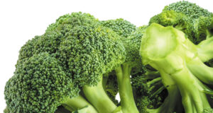 সর্বোচ্চ অ্যান্টিঅক্সিডেন্ট পেতে ব্রকলি রান্না করার সবচেয়ে স্বাস্থ্যকর উপায় সর্বোচ্চ অ্যান্টিঅক্সিডেন্ট পেতে ব্রকলি রান্না করার সবচেয়ে স্বাস্থ্যকর উপায়