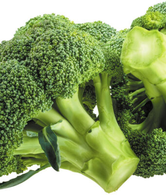 সর্বোচ্চ অ্যান্টিঅক্সিডেন্ট পেতে ব্রকলি রান্না করার সবচেয়ে স্বাস্থ্যকর উপায় সর্বোচ্চ অ্যান্টিঅক্সিডেন্ট পেতে ব্রকলি রান্না করার সবচেয়ে স্বাস্থ্যকর উপায়