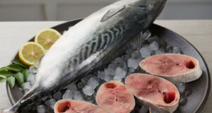টুনা মাছ: সুস্বাদু সুপারফুড – জানুন ১০টি চমৎকার স্বাস্থ্য উপকারিতা টুনা মাছের স্বাস্থ্য উপকারিতা
