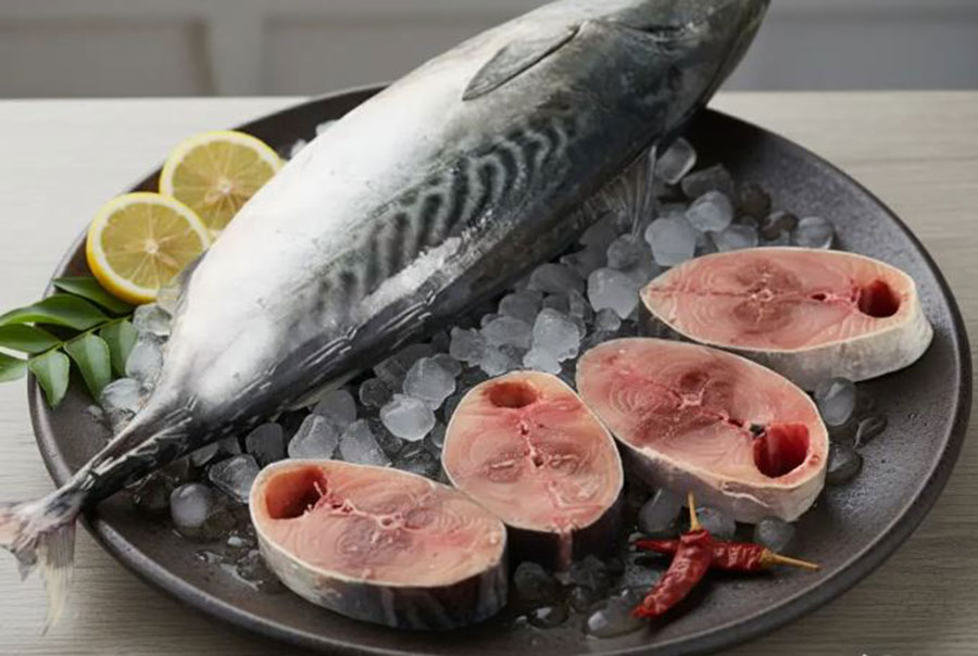 টুনা মাছ: সুস্বাদু সুপারফুড – জানুন ১০টি চমৎকার স্বাস্থ্য উপকারিতা