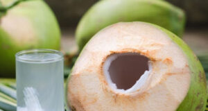 ডাবের পানির ইলেক্ট্রোলাইট গ্রীষ্মের তীব্র গরমে যেভাবে পানিশূন্যতা দূর করে ডাবের পানির ইলেক্ট্রোলাইট