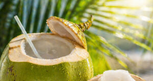 ডাবের পানি আর ডাবের শাঁস: এক নারকেল-হৃদয়ের নিঃশব্দ প্রেম ডাবের পানি আর ডাবের শাঁস