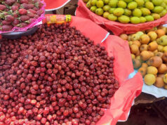 বরইয়ের জাদুকরী গুণ – জানুন বরইয়ের ১০ উপকারিতা