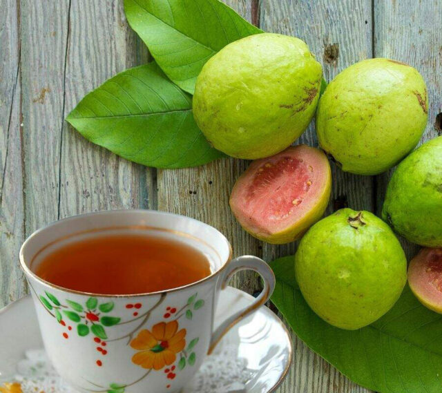 পেয়ারা পাতার চা