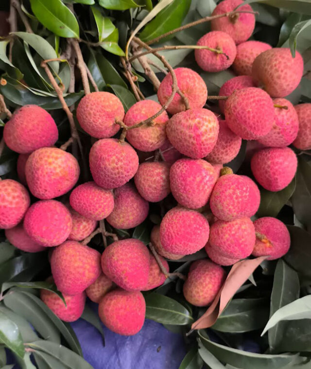 লিচু খাওয়ার অবিশ্বাস্য উপকারিতা